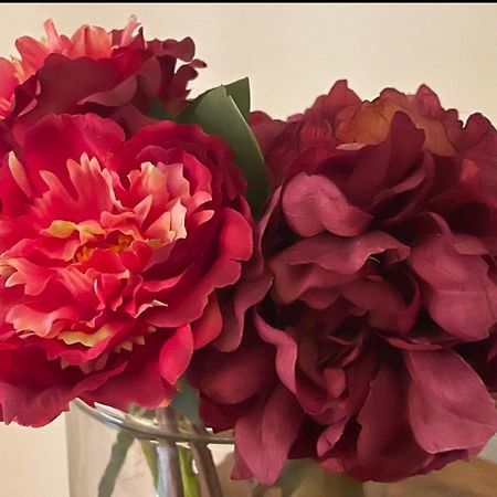 Cuor Di Mantova B&B エクステリア 写真