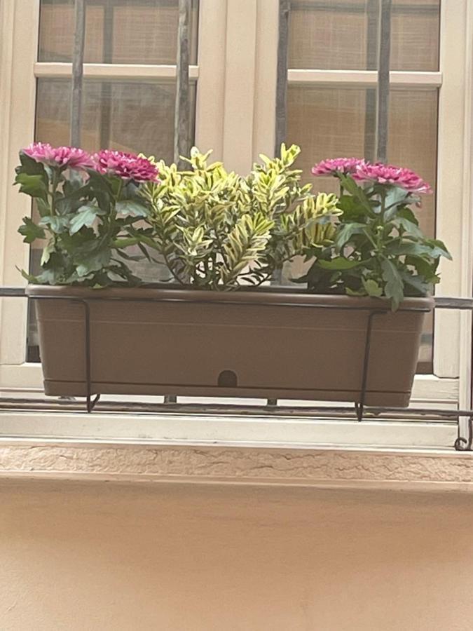 Cuor Di Mantova B&B エクステリア 写真